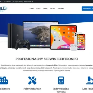 Strona Serwisu Elektronicznego